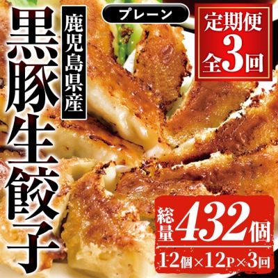 【3か月定期便】人気の鹿児島黒豚生餃子 合計144個(12個×12P)を3回お届け