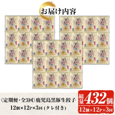 【3か月定期便】人気の鹿児島黒豚生餃子 合計144個(12個×12P)を3回お届け