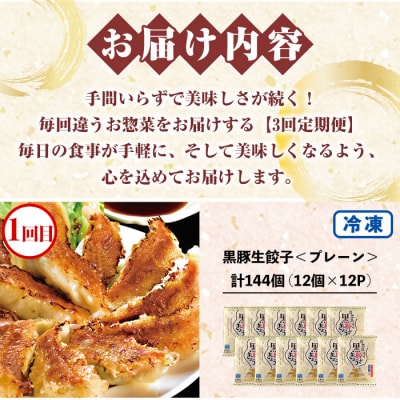 【3か月定期便】鹿児島協同食品バラエティ定期便 