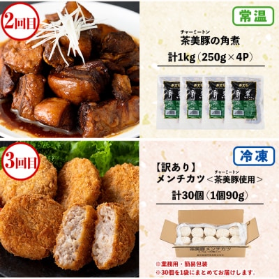 【3か月定期便】鹿児島協同食品バラエティ定期便 