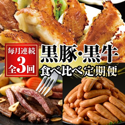 【3か月定期便】鹿児島黒豚(餃子とウインナー) と 鹿児島黒牛(ステーキ) の 食べ比べ 定期便