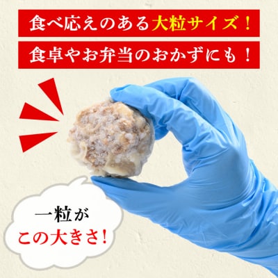 【訳あり】鹿児島県産豚肉使用 焼売96個セット(45g×24個 合計4kg超え!)