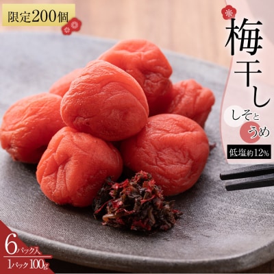 角田市 岸浪園 梅干し しそとうめ 低塩約12% 100g 6パック入り 限定200個