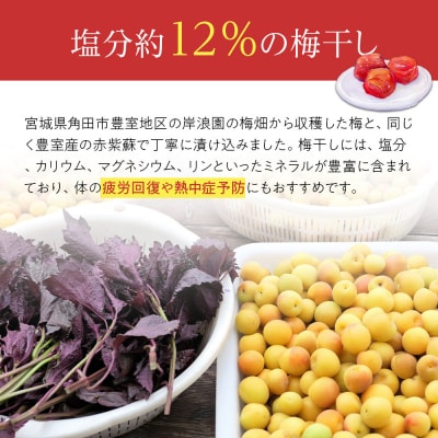 角田市 岸浪園 梅干し しそとうめ 低塩約12% 100g 6パック入り 限定200個