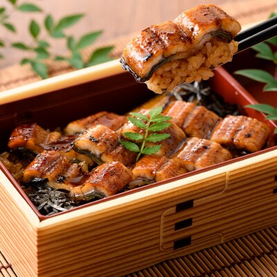 国産うなぎせいろ蒸し弁当(280g×3個)(鹿児島県産うなぎを使用)