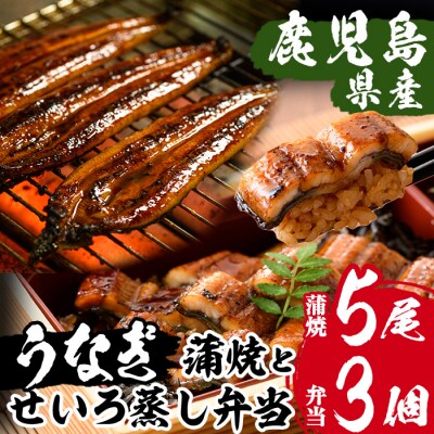  国産うなぎ(鹿児島県産うなぎ)蒲焼 大 5尾 約800gとせいろ蒸し弁当(280g×3個)