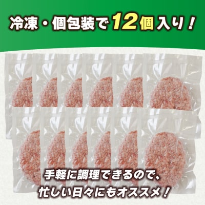 淡路島 極味ハンバーグ 150g×12個 牛肉100%　ao05756