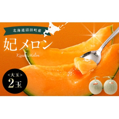 【先行予約】令和8年産 妃メロン 赤肉 2玉(令和8年7月下旬～8月中旬発送予定)  n-0189