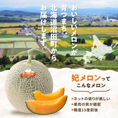 【先行予約】令和8年産 妃メロン 赤肉 2玉(令和8年7月下旬～8月中旬発送予定)  n-0189