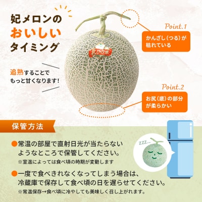 【先行予約】令和8年産 妃メロン 赤肉 2玉(令和8年7月下旬～8月中旬発送予定)  n-0189