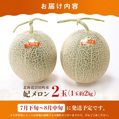 【先行予約】令和8年産 妃メロン 赤肉 2玉(令和8年7月下旬～8月中旬発送予定)  n-0189