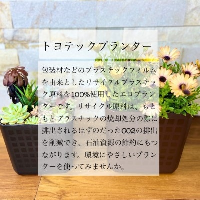 【エコ製品】トヨテックプランター 茶 4サイズセット(4・5・6・6.5号)