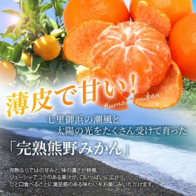 【2026年11月下旬ごろ発送予定】仲森農園の【完熟】熊野みかん(10kg)