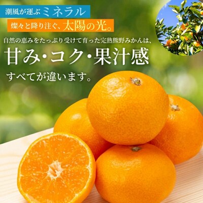  【2026年11月下旬から12月下旬に発送】 仲森農園の【完熟】熊野みかん(7kg)