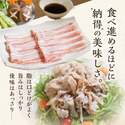 飛騨納豆喰豚ロース・ばらしゃぶしゃぶ 計750g 豚肉 【11-5】