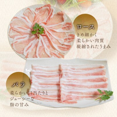飛騨納豆喰豚ロース・ばらしゃぶしゃぶ 計750g 豚肉 【11-5】