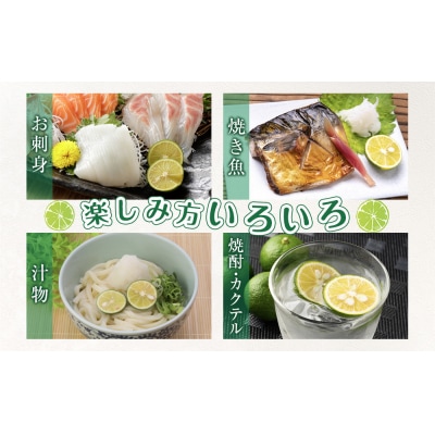 【期間限定】露地すだち1kg(1箱)【BP003】