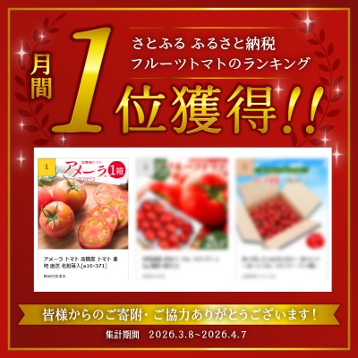 アメーラ トマト 高糖度 トマト 産地 直送 化粧箱入(a10-371)