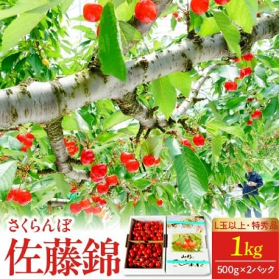 さくらんぼ(佐藤錦)1kg(500g×2パック)　特秀品　L玉以上　0012-2609