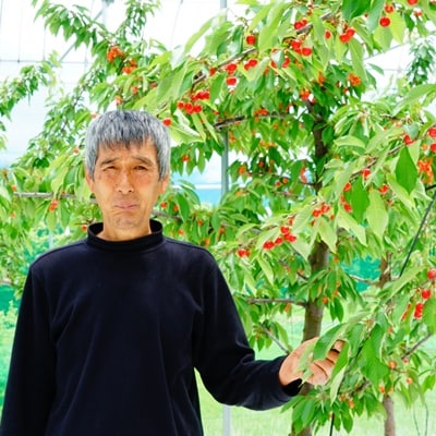 さくらんぼ(佐藤錦)1kg(500g×2パック)　特秀品　L玉以上　0012-2609