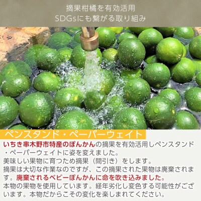 【数量限定】摘果柑橘を有効活用したペンスタンド・ペーパーウェイト(1個) ルシエルフュゼ