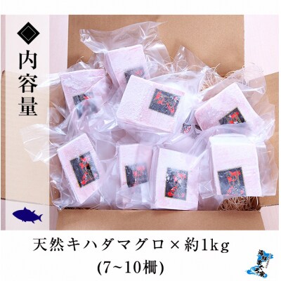 天然 キハダマグロ 1kg(100g×7～10柵) 真空 冷凍