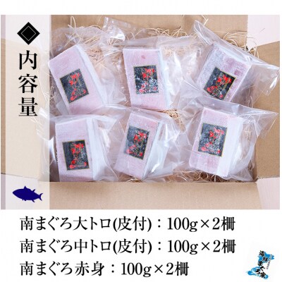 天然南マグロ大トロ・中トロ・赤身 各100g×2 計600g