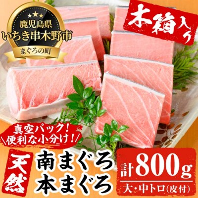 贈答用におすすめ!逸品の天然高級マグロ約800g(木箱入り)
