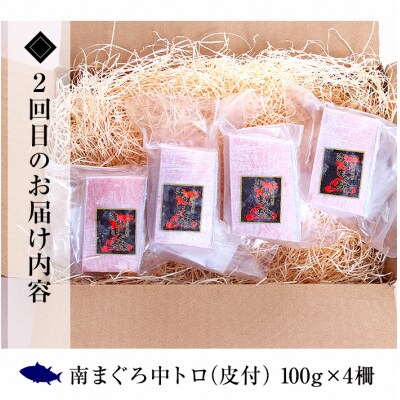 【3か月定期便】極上天然南まぐろ贅沢コース