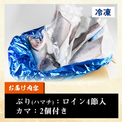 鹿児島県産養殖ぶり(ハマチ)の切り身「ロイン4節・カマ2個付」合計約2kg!