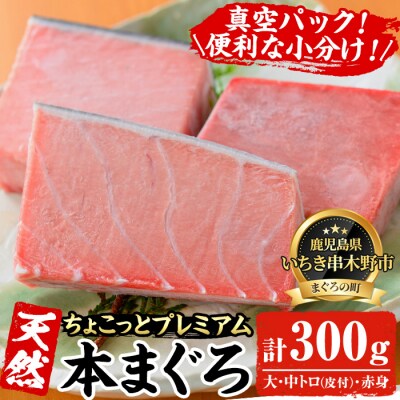 【ちょこっとプレミアム】天然本まぐろフルセット 計約300g