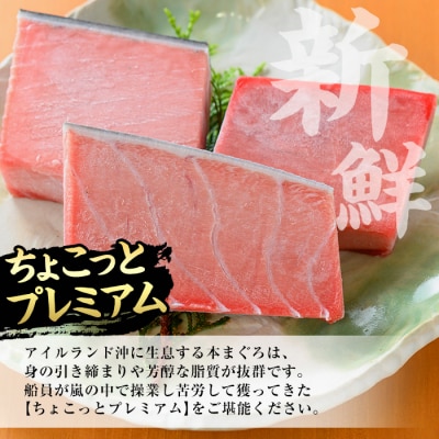 【ちょこっとプレミアム】天然本まぐろフルセット 計約300g