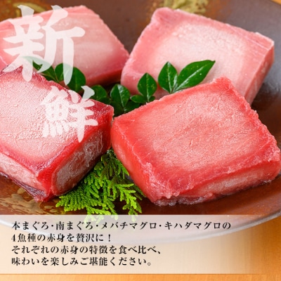 天然まぐろ4魚種(南マグロ・本マグロなど)赤身食べ比べセット 計約400g