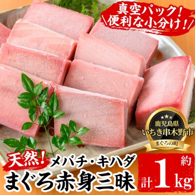 天然メバチマグロ・キハダマグロ各赤身 100g×5計約1kg