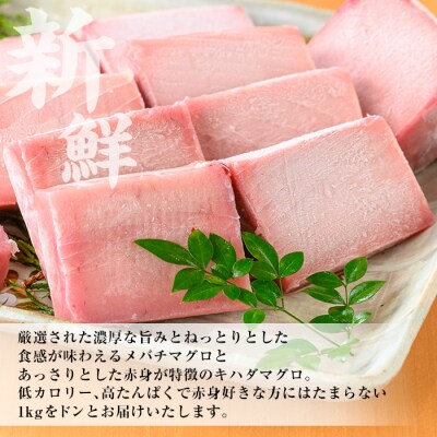 天然メバチマグロ・キハダマグロ各赤身 100g×5計約1kg