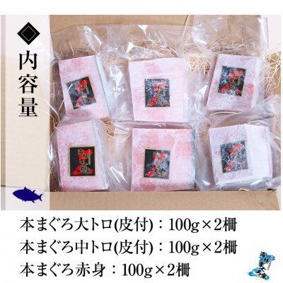 天然本マグロ 大トロ・中トロ・赤身 各100g×2 計600g