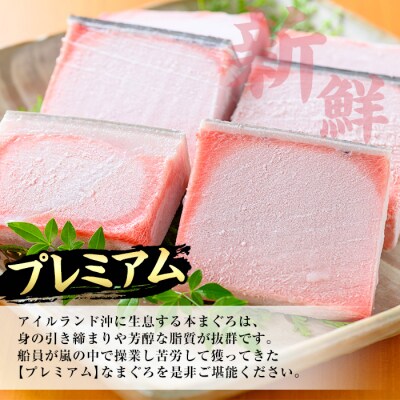 天然本マグロ 大トロ・中トロ・赤身 各100g×2 計600g