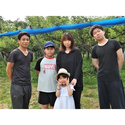 西洋梨(ラ・フランス)3kg　ご家庭用　0137-2601