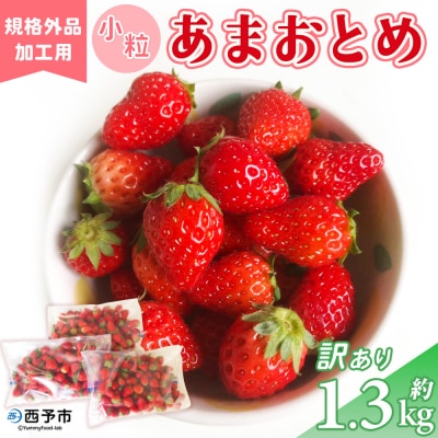 <訳あり いちご あまおとめ 約1.3kg 小粒 加工用 冷蔵 規格外品> 国産 サイズ 小粒 