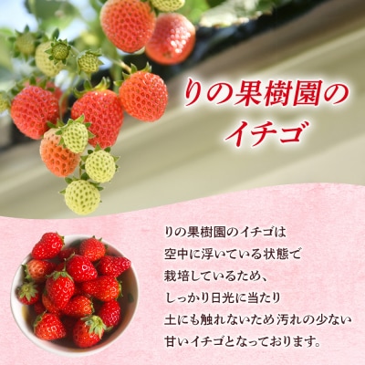 <訳あり いちご あまおとめ 約1.3kg 小粒 加工用 冷蔵 規格外品> 国産 サイズ 小粒 