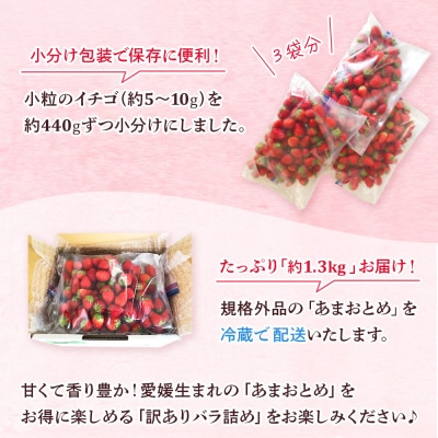 <訳あり いちご あまおとめ 約1.3kg 小粒 加工用 冷蔵 規格外品> 国産 サイズ 小粒 