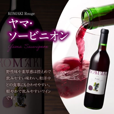 小牧ワイナリ― 赤ワイン2本飲み比べセット(小牧産ぶどう100%使用) [026A08]