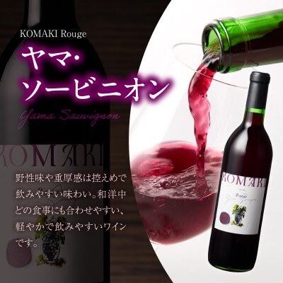 小牧ワイナリ― 赤ワイン3本飲み比べセット(小牧産ぶどう100%使用) [026A09]