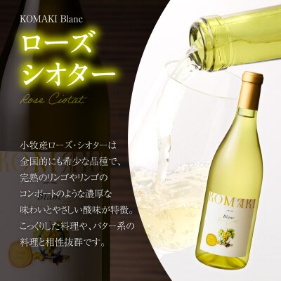 小牧ワイナリ― 赤・白ワイン2本セット【限定50セット】(小牧産ぶどう100%使用)[026A10]