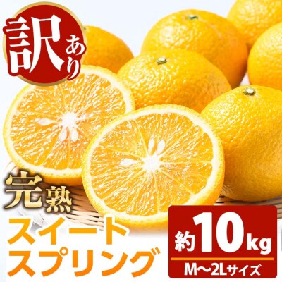 <希少>樹上完熟 スイートスプリング 10kg(M～2L)満杯詰 サイズ混合のため訳アリ 