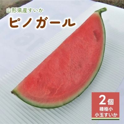小玉すいか(ピノガール)2個　0030-2608