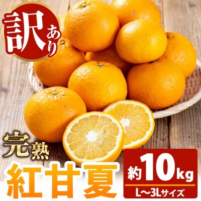 <訳アリ> 完熟 紅甘夏 約10kg L～3Lサイズ サイズ不揃い 満杯 箱詰め サイズ混合