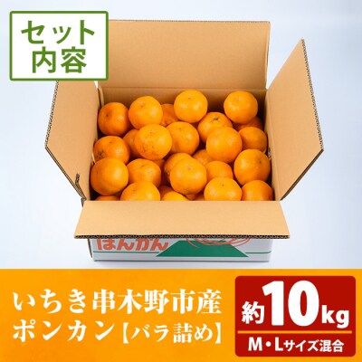 ＼数量・期間限定/池之上果樹園の旬のポンカンM・Lサイズ混合10kg箱満杯バラ詰め
