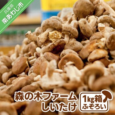 森の木ファームしいたけ(1キロ箱)ふぞろい