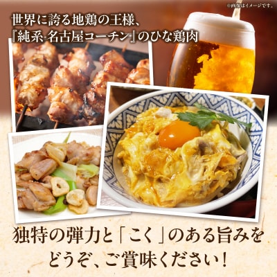 純系 名古屋コーチン ひな鶏 たれ味 200g×3パック(合計600g)[006K09]